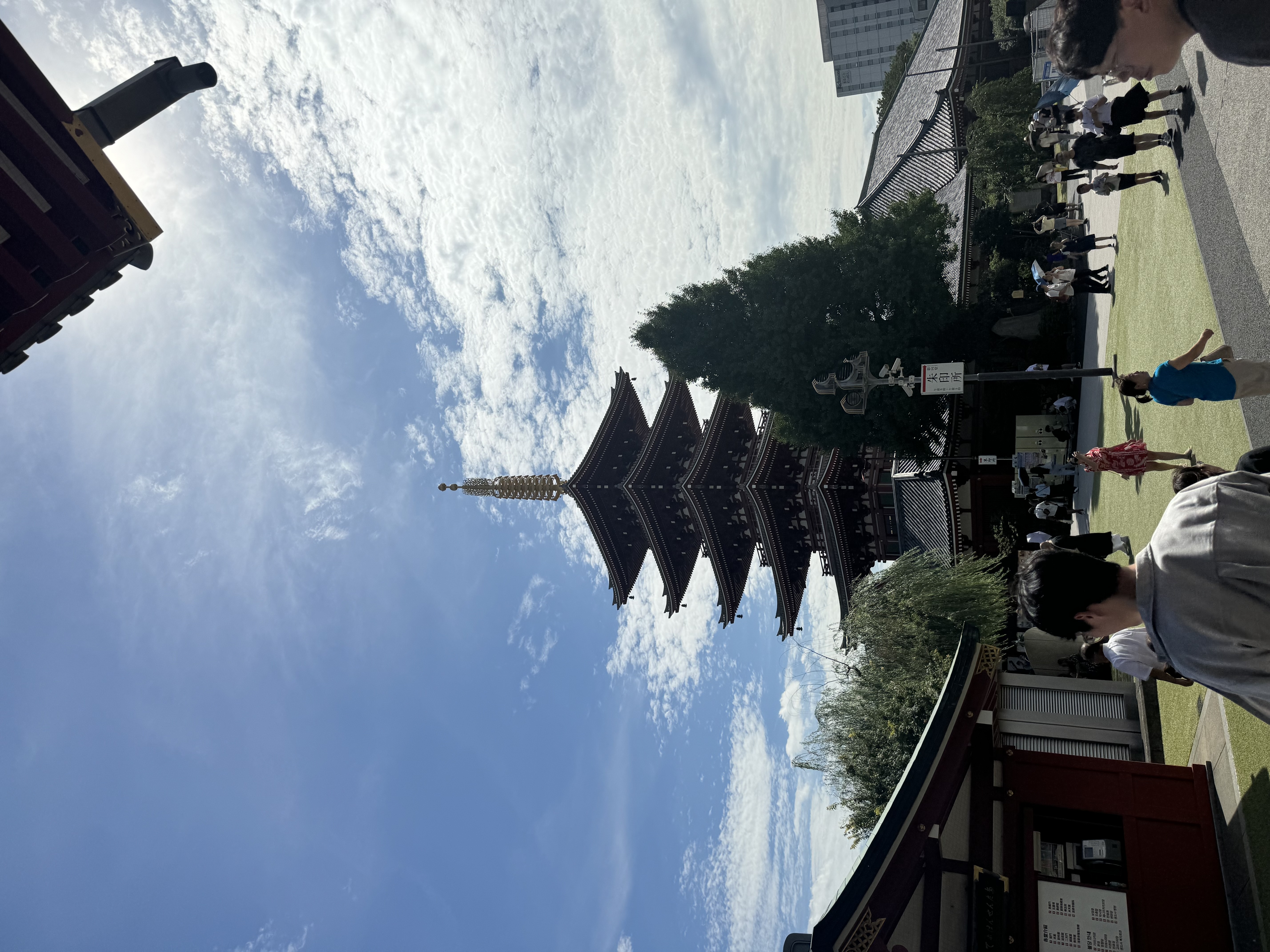 3월12-15 도쿄 가실분